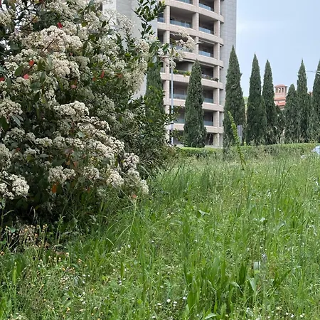 Housestellina Perugia