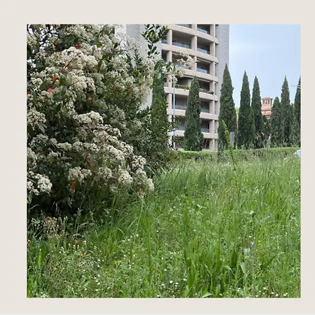 Housestellina Apartment Perugia