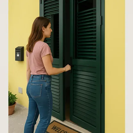 Housestellina بيرودجا