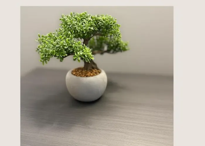 Housestellina * Perugia